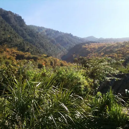 Вилла La Hondura Ля Оротава